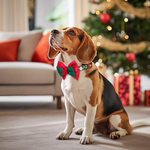 azuza Christmas Dog Collar Santa Print Xmas Pet Collar with Removable Red and Green Bowtie, Adjustable Dog Collar Accessories for Medium Dogs