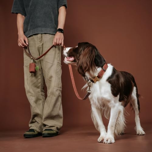 Personalized PU Leather Dog Collars,Quick Release Buckle,Brown,L