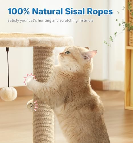 Made4Pets Kitten Toy Scratching Post with Self Groomer for Indoor Cats