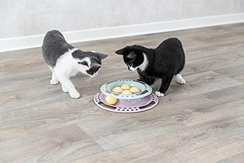 Trixie Junior Cat Activity Circle Track, Chase Track, Cat Toy, Interactive Toy
