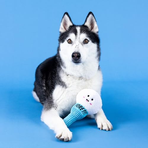 Fringe Studio Plush Dog Toy, Today is TEE-RIFFIC, Pet Shop Collection (314241)
