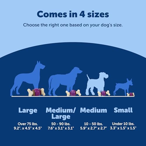 PetSafe Busy Buddy Bouncy Bone Treat Holding Dog Chew Toy, Medium
