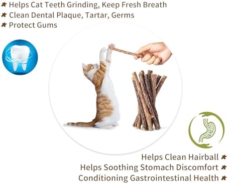 [ 35pcs Silvervine Sticks for Cats, Matatabi Cat Chew Sticks, Catnip Toys, Wooden Dental Sticks for Indoor Cats, Kitty, Kitten Teething Interactive Wand Toys