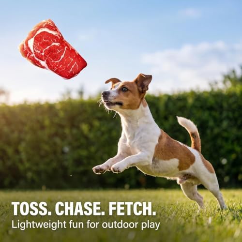 Realistic Food Steak Plush Dog Squeaky Toy, Soft Food Shape Pet Chew Toy for Small Medium Dogs and Non-Aggressive Chewers, Puppy Teeth Clean Chew Toys