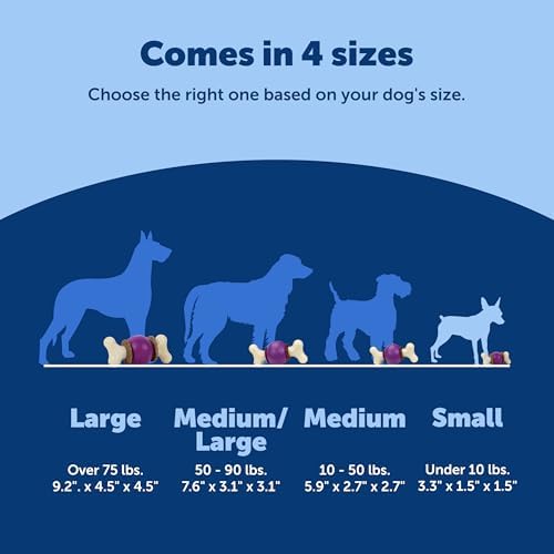PetSafe Busy Buddy Bouncy Bone Treat Holding Dog Chew Toy, Small