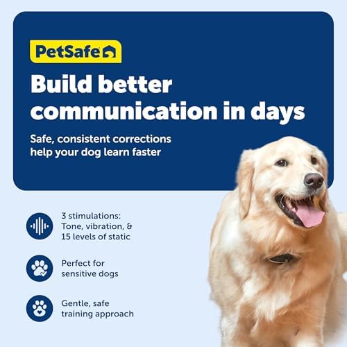 PetSafe 600 Yard Lite Remote Training Collar Smaller Version for Small or Medium Dogs Choose from Tone, Vibration, or 15 Levels of Static Stimulation Medium Range for Training Off Leash Dogs