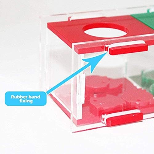 Litewoo Bird Color Coin Box Intelligence Training Toy for Parrot Parakeet