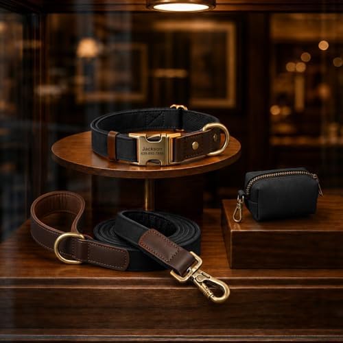 Personalized PU Leather Dog Collars,Quick Release Buckle,Black,XL
