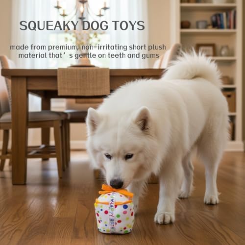 Birthday Cake Squeak Toys, 1 Pcs
