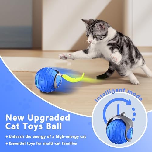 Cat Toys,Interactive Cat Toys Ball for Bored Indoor Cat,Blue