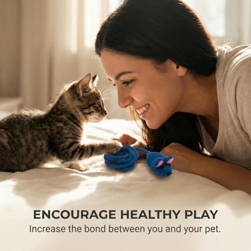 Glaciart One Felt Mouse Cat Toy – Soft Fuzzy Enrichment 100% Natural Wool - Interactive Catnip Play Cat Toy Set - Safe for Pets, Non-AZO Colored Dyes - 42” Long