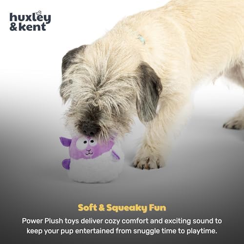 Huxley & Kent Funny Dog Toy w/Squeaker – Power Plush Squeaky Dog Toys for Small Dogs – Durable Small Stuffed Animal for Indoor Play & Fetch - Tiny Tuff Lady Baba