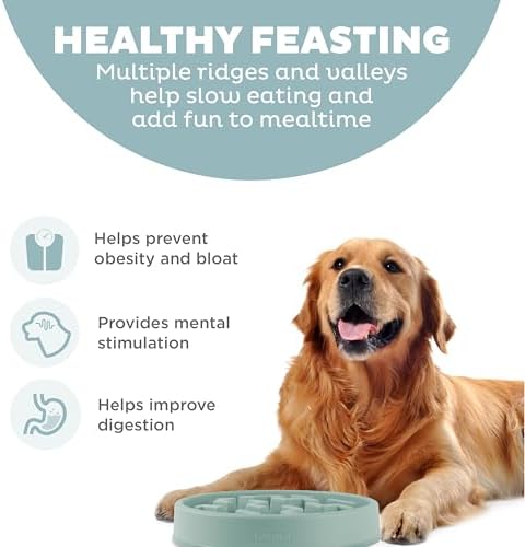 Outward Hound Fun Feeder Slo Bowl Dog Slow Feeder, Notch, Sage, 11.8"
