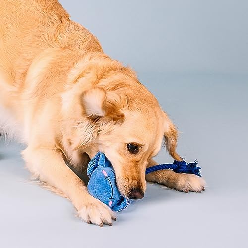 Fringe Studio Plush Dog Toy, Do The Right Sting, Pet Shop Collection (314287) (Pack of 2)