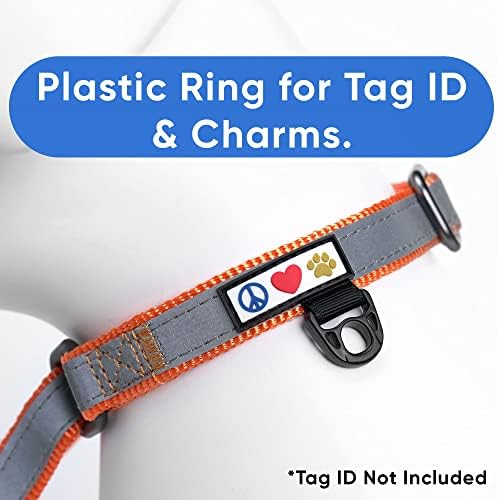 Pawtitas Personalized Dog Collar Martingale Dog Collar with Name Phone Number Reflective Martingale Dog Collar Customized Collar for Large Dogs | Orange Custom Dog Collars for Large Dogs