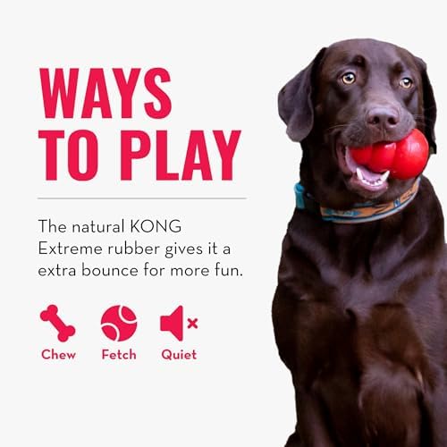 KONG Extreme Ball, Indestructible Rubber Dog Ball, for Small Dogs