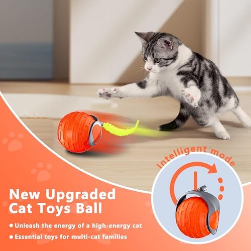 Cat Toys,Interactive Cat Toys Ball for Bored Indoor Cat,Orange