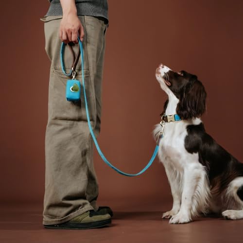 Personalized Dog Collars, Quick Release Buckle, Light Blue,L