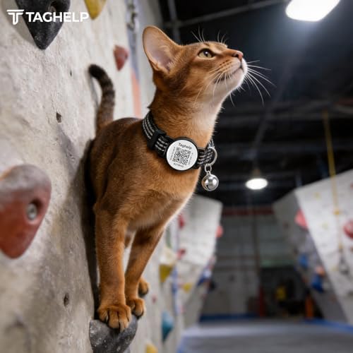 Reflective-Breakaway Cat Collars with Bells with QR Code Name Tag, Cat ID Tag Personalized,Adjustable Small,Ideal for Girl Cats Male Cats Kittens Puppies (Black B,Collar Only)