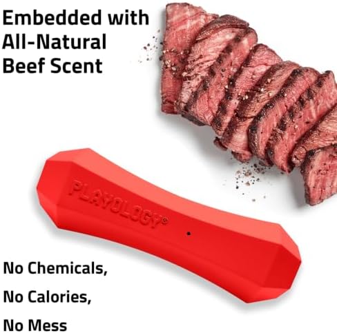 Playology Squeaky Chew Stick - Scented Dog Toy - Medium, Beef Scent, 2-pk