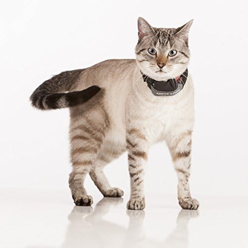 Marco Polo Advanced Pet Tracker for Cats & Dogs (MPS-301)