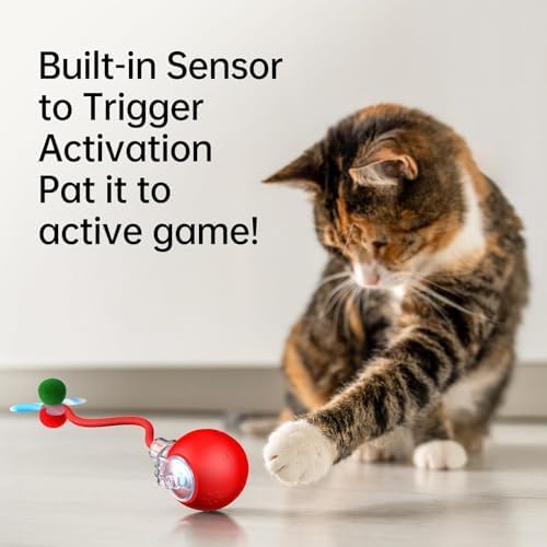 Interactive Dog Cat Toys, Automatic Moving Cat Toys for Bored Indoor Adult Cats, Fast Rolling, Chirping & Motion-Activated Kitty Toys, Fun Gift for Dogs/Cats, USB Rechargeable (Red)