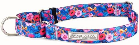 Lucky Love Dog Martingale Collar for Small Dogs No Slip Cute – Zuzu, Small