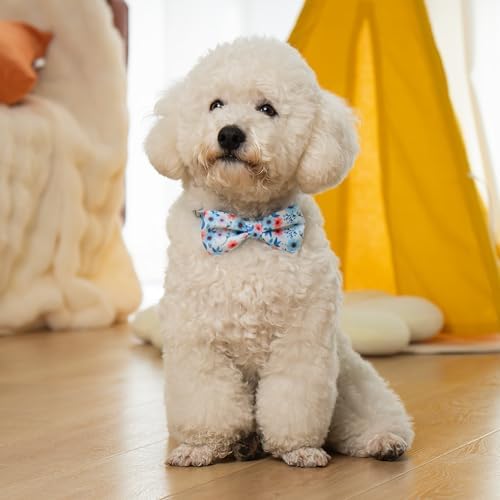azuza Dog Collar with Bow Tie, Soft and Comfortable Adjustable Bowtie Dog Collar for Large Dogs (L, Gerbera)