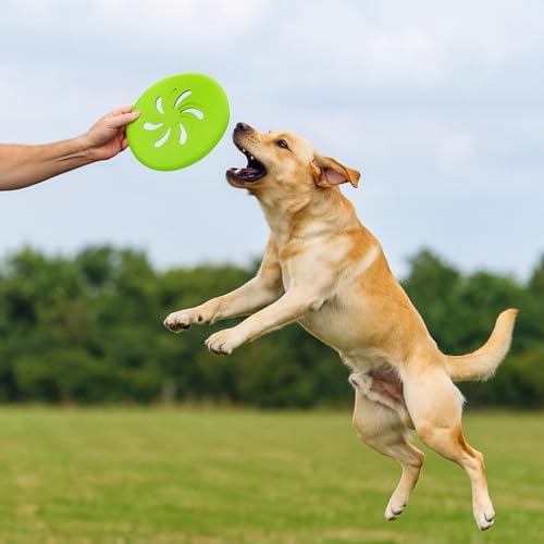 Dog Flying Disc Large EVA Material Pet Toy Outdoor Fetch Training Disc Durable Bite Resistant Safe on Teeth Lightweight Floating Interactive Disc (Green)