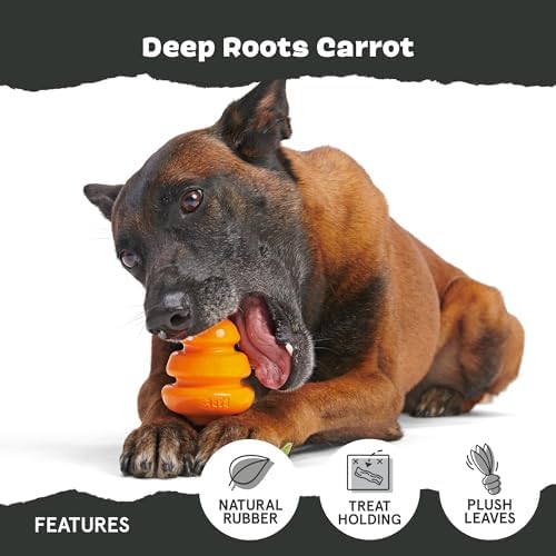 BarkBox Deep Roots Carrot Super Chewer - Toy for Small Dogs