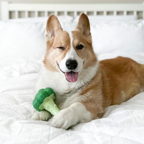 Nylabone Power Chew Broccoli Dog Chew Toy, Bacon & Cheese Flavor, Large