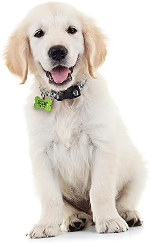 Dynotag® Web Enabled Super Pet ID Smart Tag with DynoIQ™ & Lifetime Recovery Service. Play Series: Bone (Green Classic)