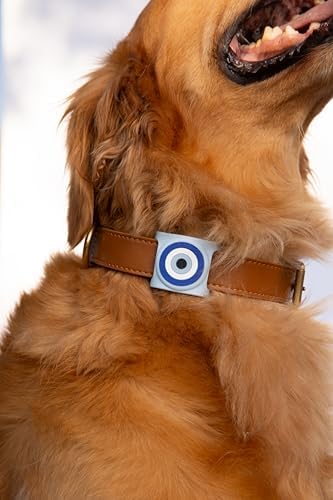 Two Tails Evil Eye Dog Collar Holder Compatible with Apple AirTag