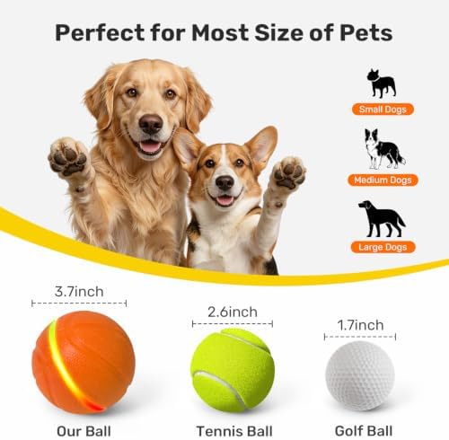 Niubya Interactive Dog Ball Toy, Activated Automatic Rolling Ball for Large Dogs, USB Rechargeable Pet Toy with LED Light