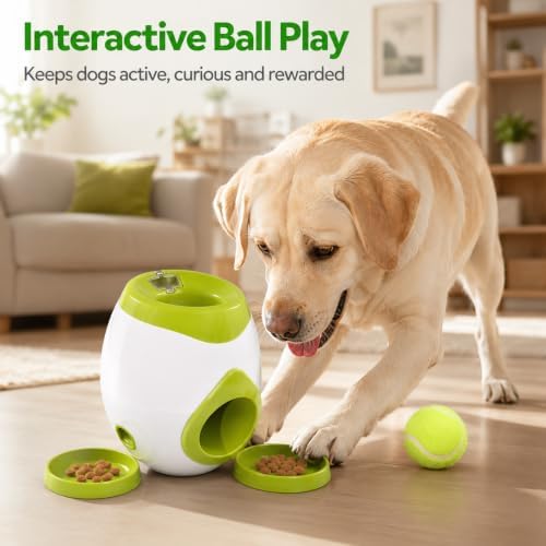 Interactive Dog Ball Return Toy with Treat Dispenser