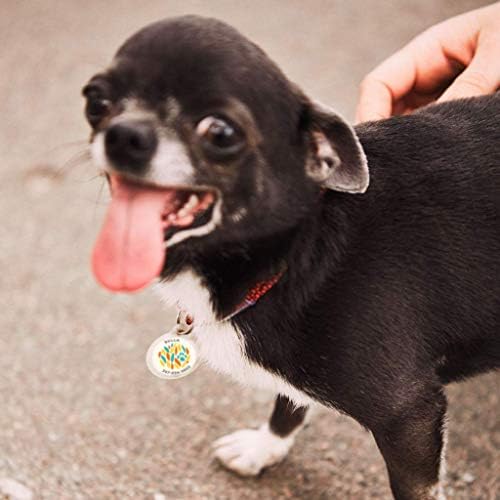 QR Code Dog Tag Personalized Pet Id Silent Cat Tags Engraved Name Plate with Online Profile («Paw Design»)