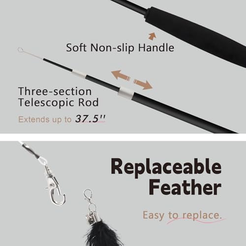 SONGWAY Cat Wand Toys for Indoor Cats - Cat Toy Set with Retractable Teaser Wand and 6 PCS Feather Toy Refills, Dragonfly Tassel Cat Toys Interactive, Black
