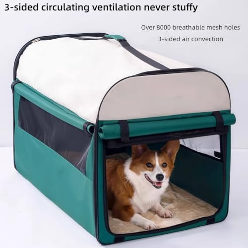 Dog Crate Compatible with Smart Fortwo Forfour 453 451 450