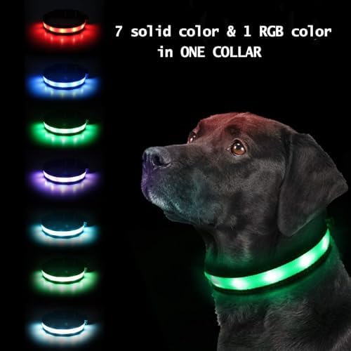Light Up Dog Collar, Safety LED Dog Collars Rechargeable 7 Colors in One Lighted Dog Collar Glow in The Dark Dog Walking Light, Neon Durable Nylon Adjustable Buckle for Small/Medium/Large Dogs, M Size