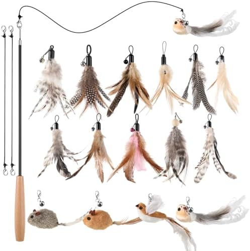 Leitee 18 Pcs Cat Wand Toy Interactive Feather, Bird Mouse Refills Wires