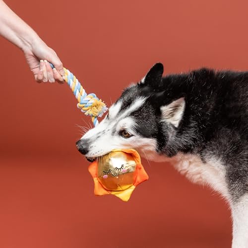 Fringe Studio Plush Dog Toy with Rope, Sun-Day I'm in Love, Pet Shop Collection (314526)