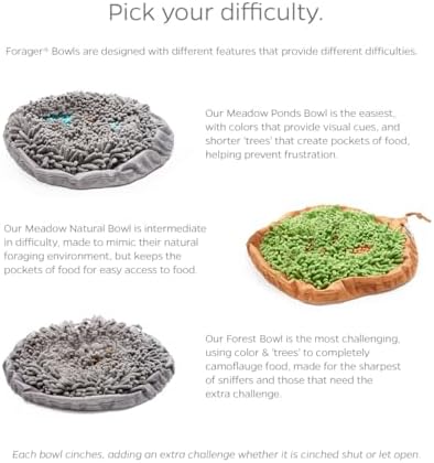 PET Parents Forager Snuffle MAT and Slow Feeder Dog Bowl, Meadow Natural