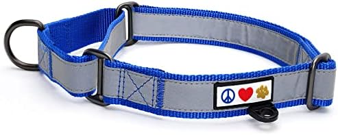Pawtitas Blue Reflective Martingale Dog Collar, Large