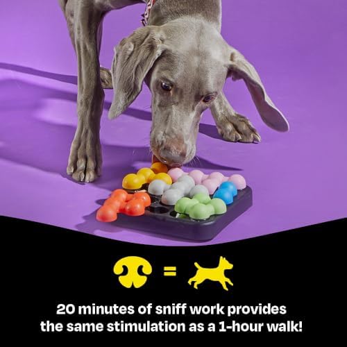 Brightkins Kanoodle Dog Edition Small - Dog Toys for Small Dogs, Interactive Puppy Toys, Food Puzzle for Dogs, Cat Puzzle Toy Feeder, Stimulating Pet Puzzles, Mental Enrichment Puppy Games