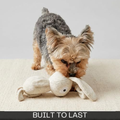Knit Plush Dog Toys for Small & Medium Dogs – Squeaky Cuddle & Play Bunny Toy | Soft Stuffed Rabbit Animal Dog Toy for Gentle Play, Anxiety Relief & Snuggle (Long-Eared Rabbit Bunny)