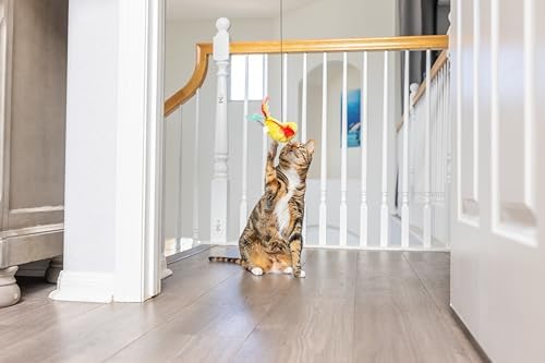 SPOT A-Door-Able Plush Bird Cat Toy | Rattle and Catnip Cat Toy Provides Hours of Entertainment for Your Cat | Hangs on Any Size Door Frame