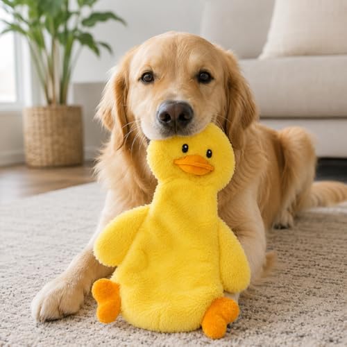 Interactive Crinkle Duck Dog Toy – No Stuffing Plush Squeaky Pet Toy (14"x8"), Tear-Resistant Reinforced Stitching, Odor-Free Chew Toy, Keeps Them Busy for Small, Medium & Large Dogs