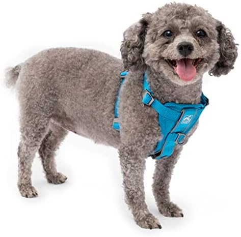 Kurgo Tru-Fit Smart Harness, Blue, Extra Small