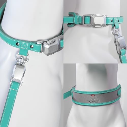 Magnetic Dog Collar and Leash Set with Quick Release Buckle, Easy On & Off Faux Leather Puppy Collar with 4FT Leash for Small, Medium Dog