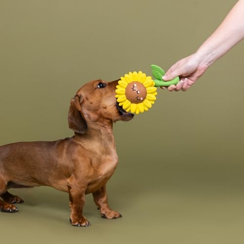 Fringe Studio Latex Dog Toy, Way to Grow!, Pet Shop Collection (366085)